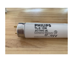 Bóng đèn diệt côn trùng Philips 15w